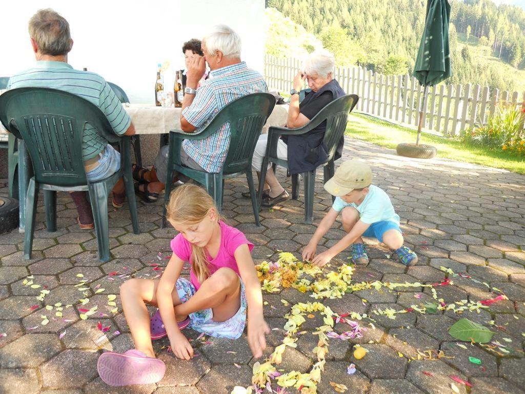 Familienbauernhof Imitz, Ferienwohnung Шпіталь-ам-Пірн Екстер'єр фото