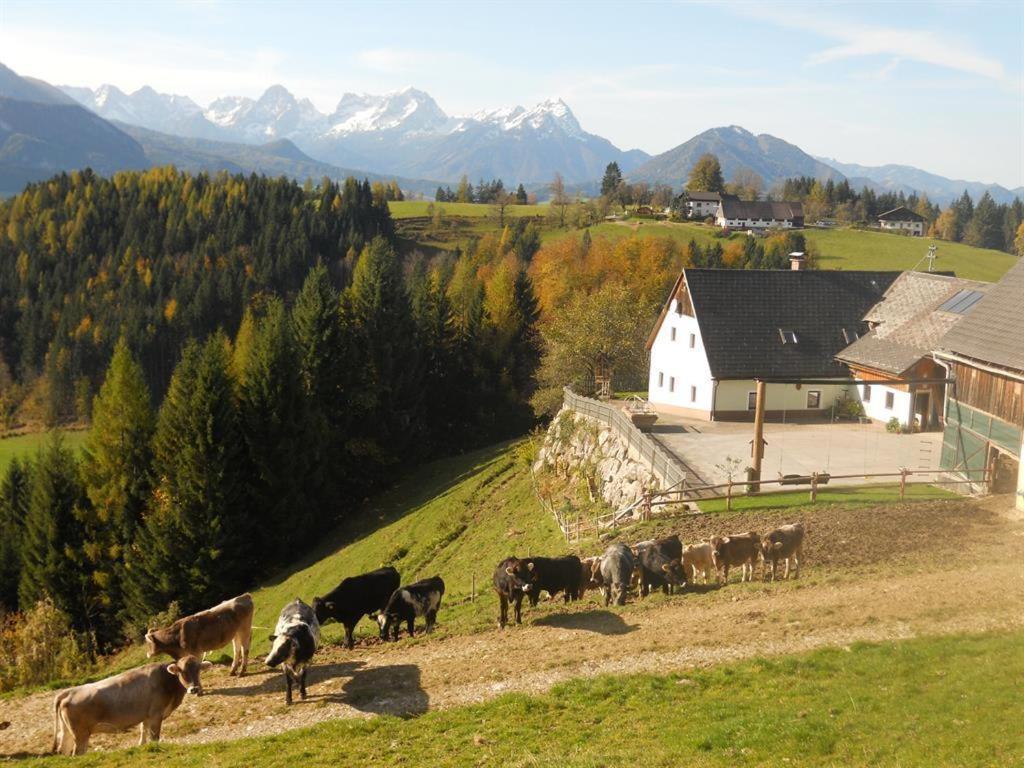 Familienbauernhof Imitz, Ferienwohnung Шпіталь-ам-Пірн Екстер'єр фото